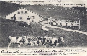 13 Kahlenwasen dated 1904